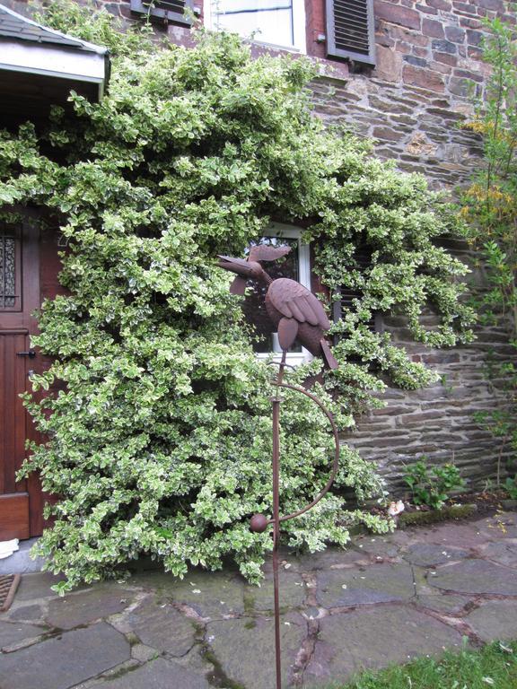 Willa Au Jardin De Mon Pere Jalhay Zewnętrze zdjęcie